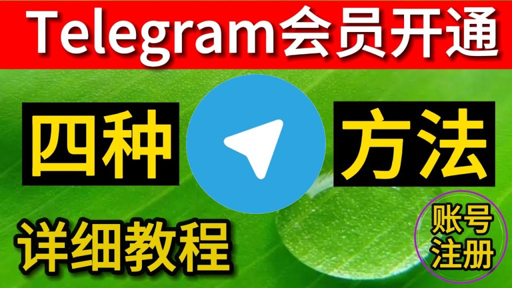 Telegram如何註冊會員賬號？